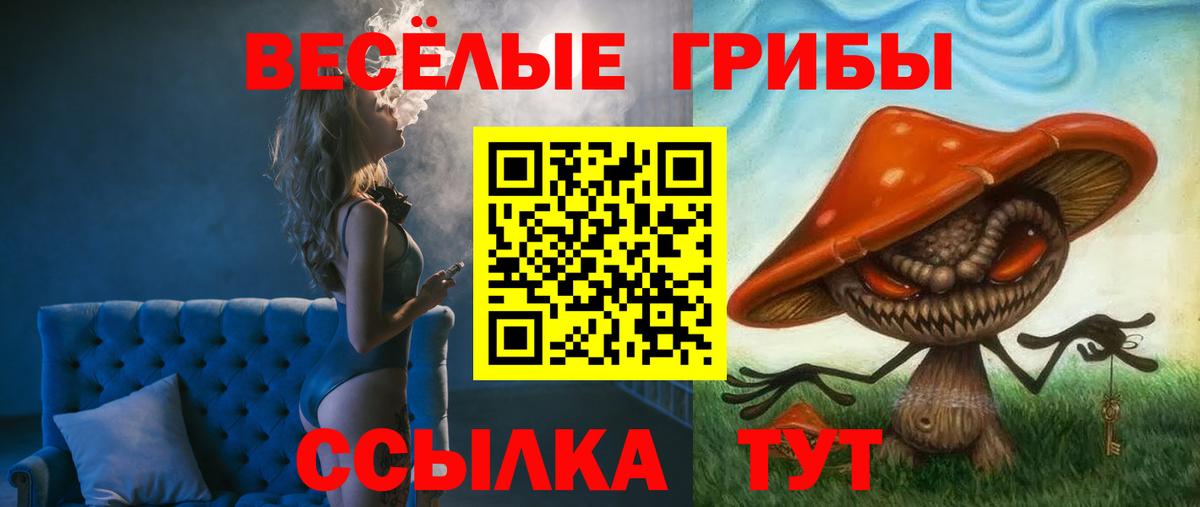 Великий Устюг  Галлюциногенные грибы MAGIC MUSHROOMS  Вход с VPN 
